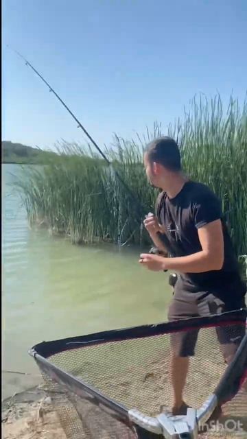 #tools #стройка #инструмент #ремонт #топ #дача смотреть онлайн