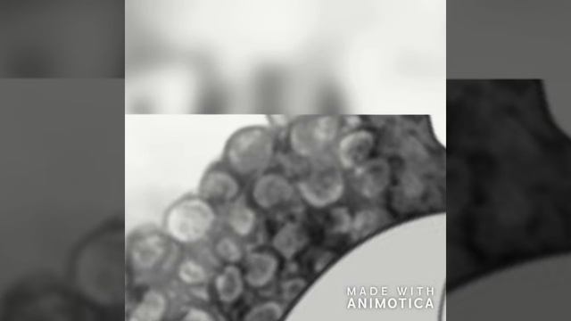 клип- Go Little Bad Girl. Meliodas/Elizabeth/Melizabeth смотреть онлайн