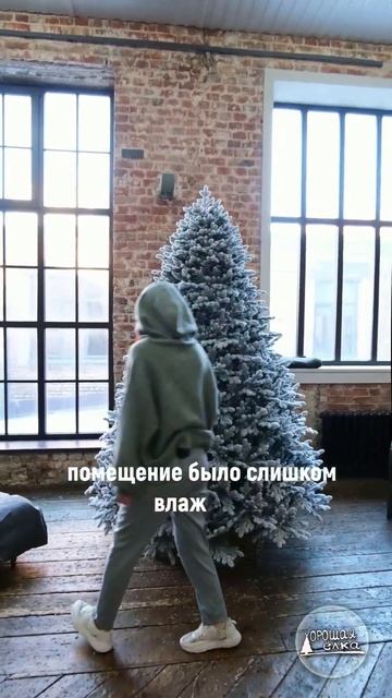 Ель заснеженная - это СКАЗКА на 5 лет смотреть онлайн