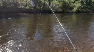 Рыбалка в Хабаровском крае. Часть третья.