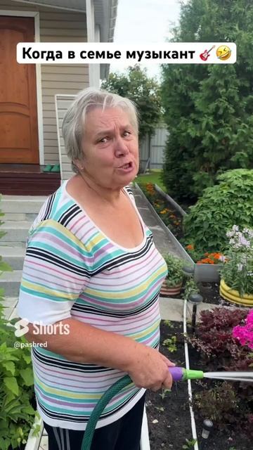 Когда в семье музыкант смотреть онлайн