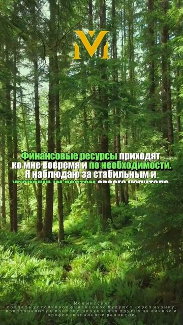 Финансовые ресурсы приходят ко мне вовремя и по необх? смотреть онлайн