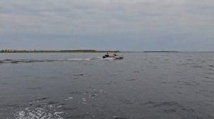 Рыбалка на спиннинг на озере Тенис Новосибирская обла