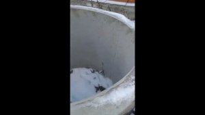 Кольца для выгребной ямы и их состояние