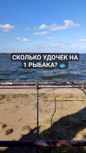 СКОЛЬКО УДОЧЕК НА 1 РЫБАКА? смотреть онлайн