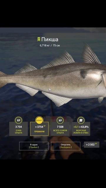 час на 34 банке, без филе, ставок, регистрации и смс #рыб?