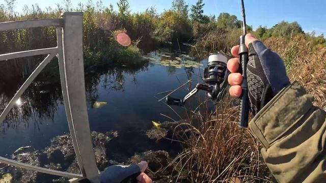 Спокойная рыбалка на ЖИВОПИСНОЙ речке! Тёплая ОСЕНЬ #м смотреть онлайн