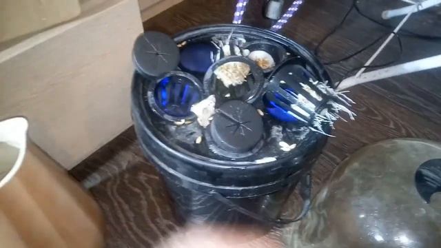 DWC ведерко для проращивания семян и выращивания зелени с ультразвуковым парогенератором смотреть онлайн