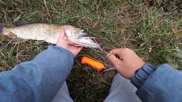 Как повесить щуку на кукан. Как вешать щуку на кукан 3 с смотреть онлайн