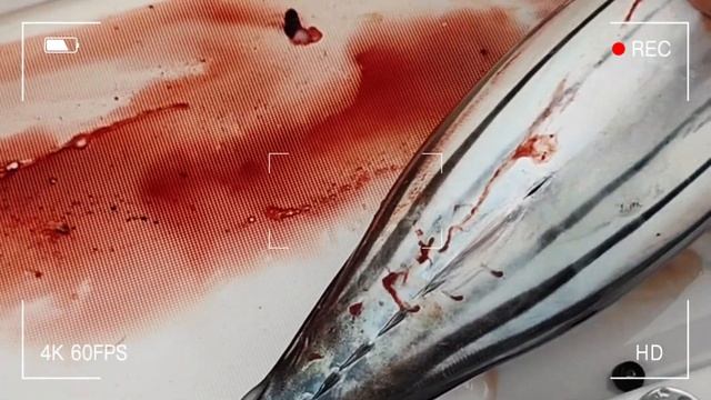 Рыбалка в Тихом Океане смотреть онлайн