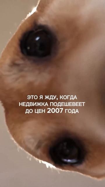 Подешевеет? #коттеджныйпоселок #современныйдом смотреть онлайн