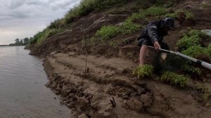 Ловля сазана на реке Ахтуба в августе 2024,  на донки.
