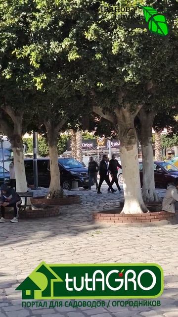 Зачем они это делают? Делитесь мнением в комментариях. смотреть онлайн