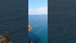 Морская рыбалка на удочку в Кобулети. Грузия.