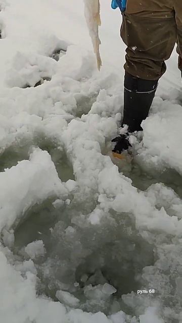 Поставил один Флажок и сразу Рыба💪
