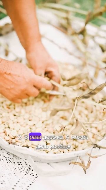 Дорогие семена гарантия урожая? #дача #рассада #сад #ог? смотреть онлайн