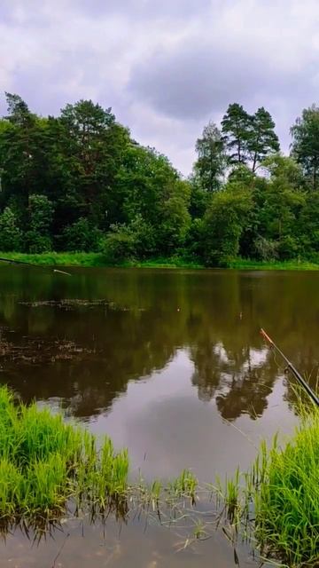 #рыбалка #озеро #карась #триправиларыбака #заметкирыба