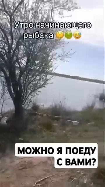 ПЕРВЫЙ РАЗ НА РЫБАЛКЕ 🤣 Рыбалка на донную снасть быва смотреть онлайн