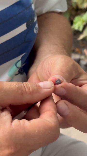 Вешаем грузила #рыбалка #удочка #речка #караси смотреть онлайн