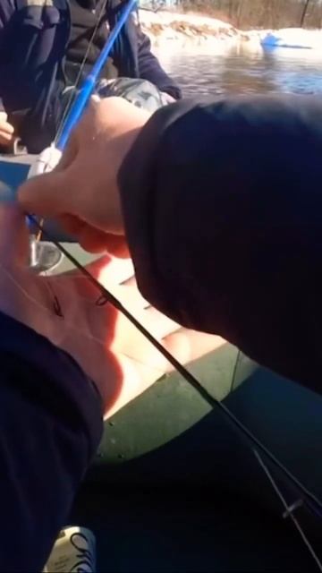 Анекдот про рыбалку #рыбалка#анекдоты#fishing#fish#Shorts смотреть онлайн