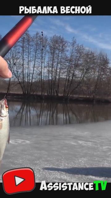 Рыбалка на льдине на поплавок весной! смотреть онлайн