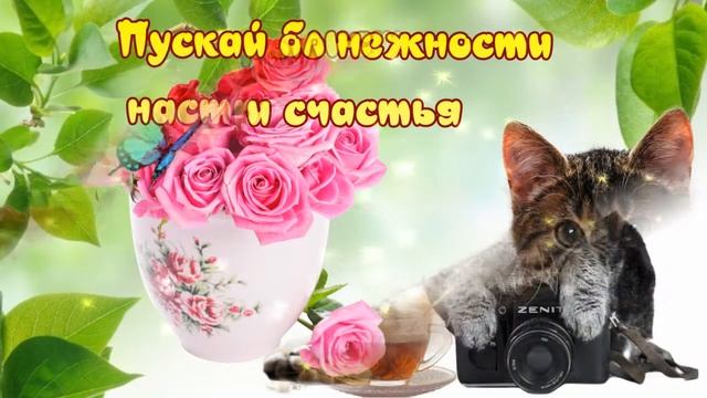Прекрасного желаю воскресенья! Улыбок ярких нежности и теплоты! смотреть онлайн