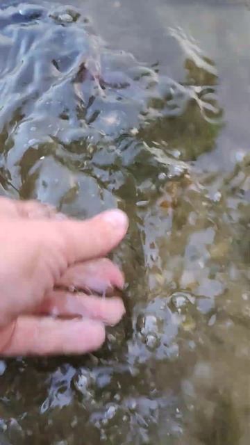 На рыбалке выпускаю рыбу номер 1 #рыбалка #fishing #fish #рыба смотреть онлайн