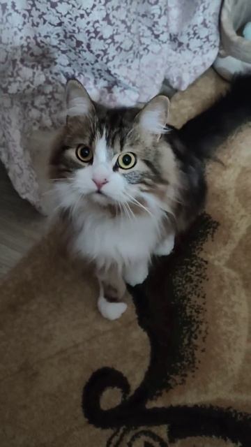 31 января 2025 г. смотреть онлайн