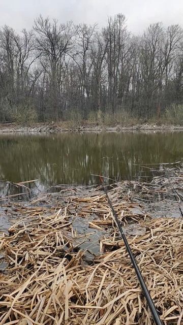 18 апреля 2025 г. смотреть онлайн