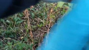 Пробная рыбалка на хариуса. Р. Ковда, Вологодская обл.,