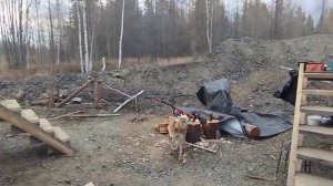 Река Тумнин и ее притоки, бухта Сизиман, Хабаровский к?