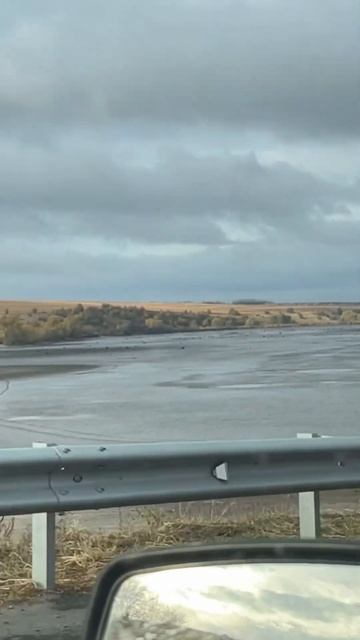 #fishing #bigcarp #carpfishinglife #рыбхоз #рыба #рыбалка #carplife #fish смотреть онлайн