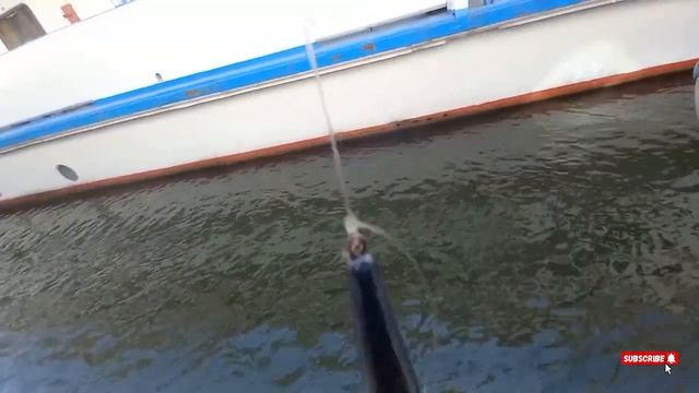 рыбалка в ростове на дону судака!!!!😀 смотреть онлайн