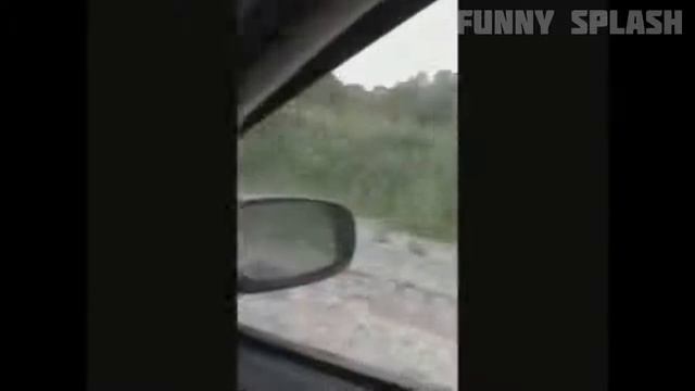ЭТИ ФРАЗЫ ПОРВАЛИ ИНТЕРНЕТ Лучшие приколы за всю историю #6 смотреть онлайн