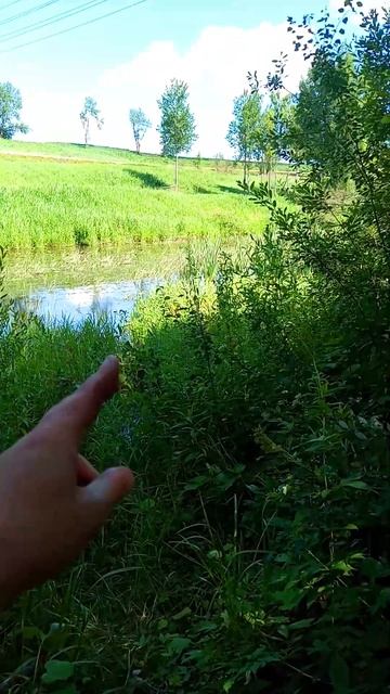 Рыбалка Выживалка #рыбалка #кемпинг смотреть онлайн