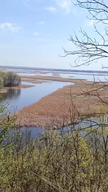 Белая гора, Воронеж смотреть онлайн