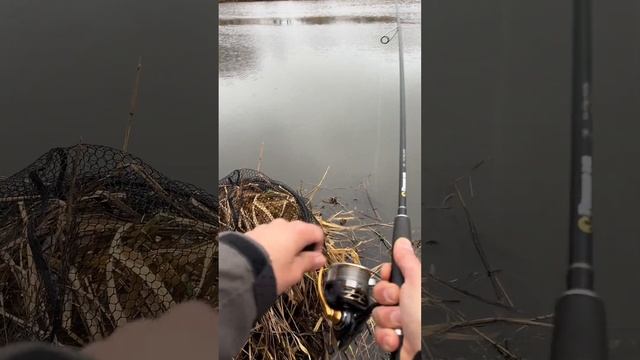 А завтра будет весна!