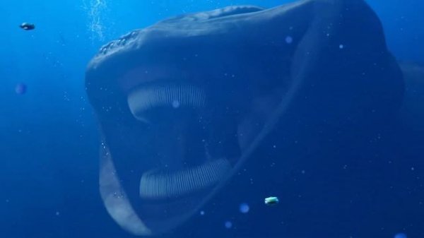 Клип Песня ЭЛЬ ГРАН МАЙЯ МОРСКОЙ ПОЖИРАТЕЛЬ El Gran Maja Vs