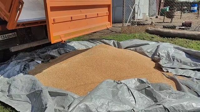 Жизнь в деревне.Купили зерно.Лучший отдых это поход за смотреть онлайн