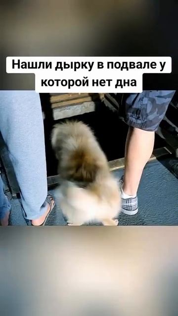 Нашли дырку в подвале у которой нет дна смотреть онлайн