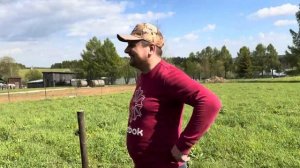 Посев медоносов, синяка под покров фацелии