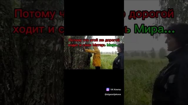 Древо Жизни Богов в Пермском край, строящ. Города Солн? смотреть онлайн