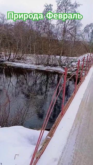 #АлексейРоманюта #Забудь #Красавицамоя #музыка #шансон смотреть онлайн