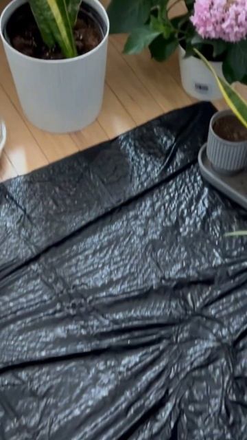 Пересадка растений смотреть онлайн