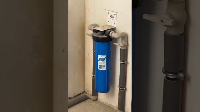 Не упустите уникальную возможность.Акционный дуплекс смотреть онлайн