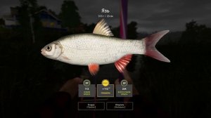 Где поймать Язя на озере Комариное. Русская рыбалка 4. #