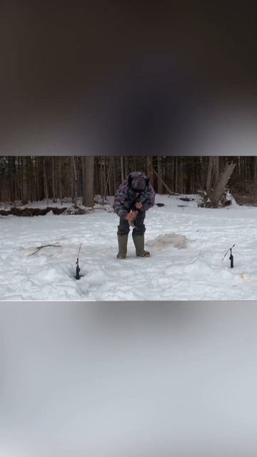 Ловля Ленка зимой-Горная рыбалка | рыбалка в России | #sh смотреть онлайн