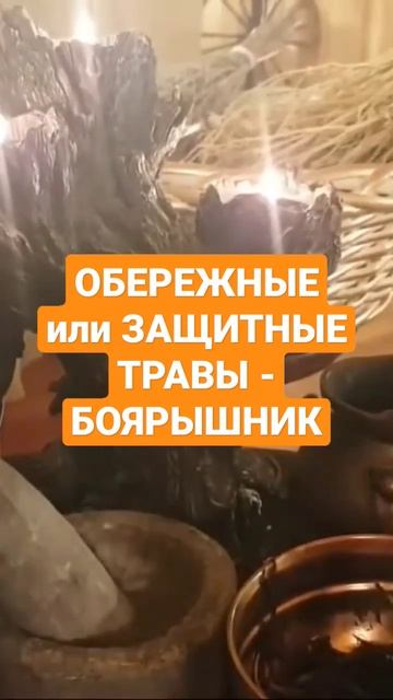 ОБЕРЕЖНЫЕ или ЗАЩИТНЫЕ ТРАВЫ - БОЯРЫШНИК #shorts #травывм? смотреть онлайн