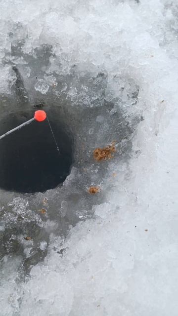 Рыбалка на воблу! Бешенный клев!)) смотреть онлайн