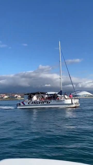 Белые пароходы мешают рыбалке. Рыбалка в Сочи. #fishing #со смотреть онлайн